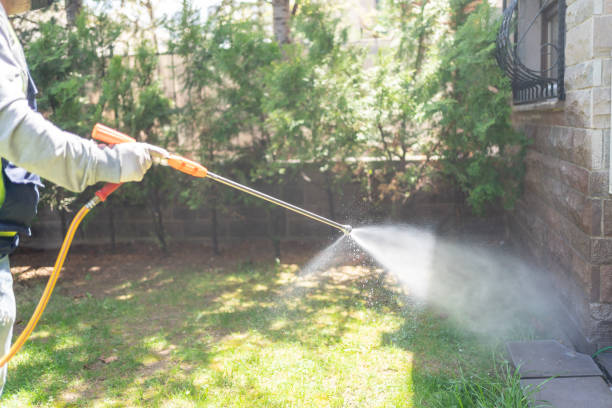 Seasonal Pest Control in Cresson, PA